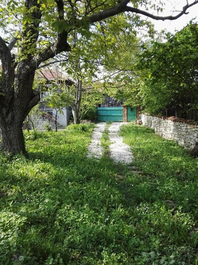 Beefree Βίλα Gorsko Slivovo Εξωτερικό φωτογραφία
